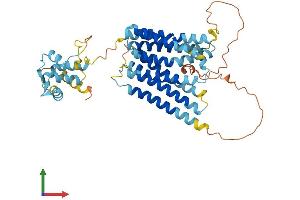 Protein Structure (PS) image for Solute Carrier Family 39 (Zinc Transporter), Member 8 (SLC39A8) (AA 1-460) protein (His tag) (ABIN7551650)