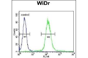 HSPD1 Antibody (C-term) (ABIN1882094 and ABIN2839474) flow cytometric analysis of WiDr cells (right histogram) compared to a negative control cell (left histogram). (HSPD1 抗体  (C-Term))