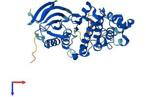 MAPK11 Protein (AA 1-364) (His tag)