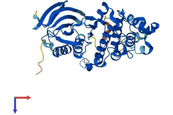 MAPK11 Protein (AA 1-364) (His tag)