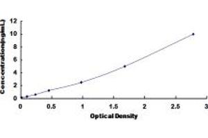 Typical standard curve (PRM2 ELISA 试剂盒)