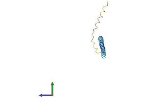 Protein Structure (PS) image for Synuclein, gamma (Breast Cancer-Specific Protein 1) (SNCG) (AA 1-127) protein (His tag) (ABIN7544078)