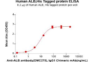 ELISA image for Albumin (ALB) (AA 25-609) protein (His tag) (ABIN7092748)