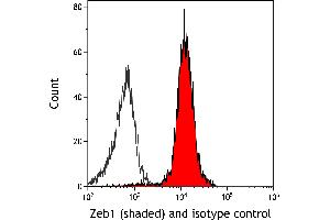 Flow Cytometry (FACS) image for anti-Zinc Finger E-Box Binding Homeobox 1 (ZEB1) (C-Term) antibody (ABIN7795625)