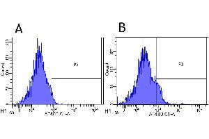 Flow-cytometry using anti-CD25 antibody Basiliximab   Rhesus monkey lymphocytes were stained with an isotype control (panel A) or the rabbit-chimeric version of Basiliximab ( panel B) at a concentration of 1 µg/ml for 30 mins at RT.