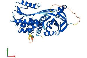 AlphaFold protein structure predicition of Mouse Recombinant Serpinb6 Protein, UniprotID Q60854