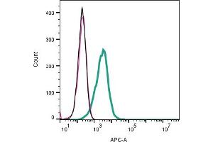 Cell surface detection of CD157 by indirect flow cytometry in live intact mouse J774 macrophage cell line: + goat-anti-rabbit-APC. (BST1 抗体  (Extracellular))