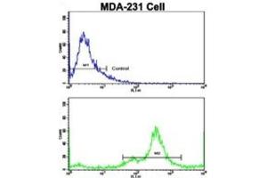 Flow Cytometry (FACS) image for anti-N-Myc Downstream Regulated 1 (NDRG1) antibody (ABIN3002891) (NDRG1 抗体)