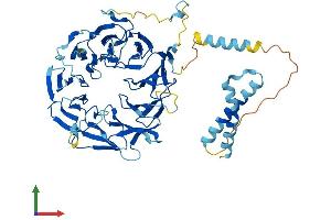 Protein Structure (PS) image for Eukaryotic Translation Initiation Factor 2A, 65kDa (EIF2A) (AA 1-585) protein (His tag) (ABIN7547294)