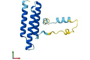 Protein Structure (PS) image for LYR Motif Containing 1 (LYRM1) (AA 1-122) protein (His tag) (ABIN7560526)