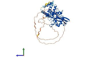 Protein Structure (PS) image for Protein tyrosine Phosphatase, Non-Receptor Type 18 (Brain-Derived) (PTPN18) (AA 1-460) protein (His tag) (ABIN7551088)