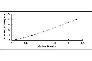 Typical standard curve (ZFHX4 ELISA 试剂盒)