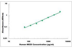 Representative Standard Curve (MICB ELISA 试剂盒)