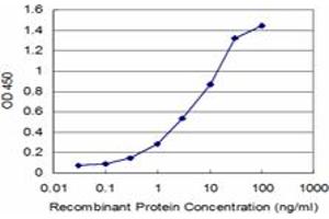 Detection limit for recombinant GST tagged NBR1 is approximately 0. (NBR1 抗体  (AA 2-96))