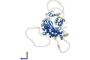 Protein Structure (PS) image for Polymerase (DNA Directed), eta (POLH) (AA 1-713) protein (His tag) (ABIN7555014)