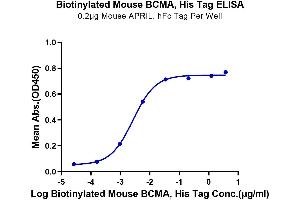 ELISA image for Tumor Necrosis Factor Receptor Superfamily, Member 17 (TNFRSF17) (AA 1-49) protein (His-Avi Tag,Biotin) (ABIN7273945)