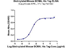 Immobilized Mouse APRIL, hFc Tag at 2 μg/mL (100 μL/well) on the plate. (BCMA Protein (AA 1-49) (His-Avi Tag,Biotin))