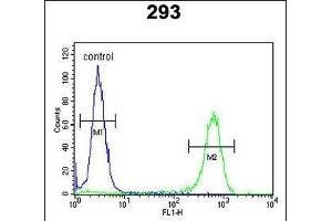 JHDM1D Antibody (Center) (ABIN651309 and ABIN2840180) flow cytometric analysis of 293 cells (right histogram) compared to a negative control cell (left histogram). (JHDM1D 抗体  (AA 290-316))