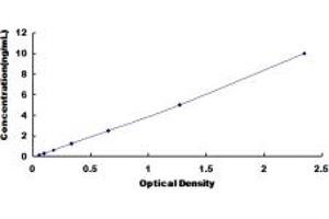 Typical standard curve (PLAGL1 ELISA 试剂盒)