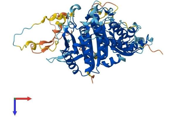 MSTO1 Protein (AA 1-570) (His tag)