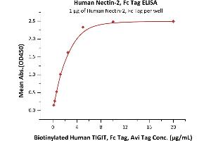 Immobilized Human Nectin-2, Fc Tag (ABIN4949134,ABIN4949135) at 10 μg/mL (100 μL/well) can bind Biotinylated Human TIGIT, Fc Tag, Avi Tag with a linear range of 0.