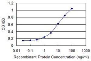 Detection limit for recombinant GST tagged ZSCAN16 is 0. (ZSCAN16 抗体  (AA 132-230))