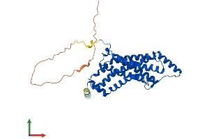 Protein Structure (PS) image for Six Transmembrane Epithelial Antigen of The Prostate 1 (STEAP1) (AA 1-339) protein (His tag) (ABIN7546451)