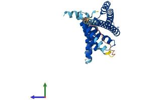 Protein Structure (PS) image for Peroxisomal Biogenesis Factor 11 beta (PEX11B) (AA 1-259) protein (His tag) (ABIN7551166)