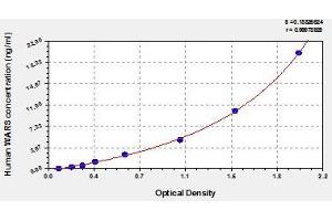 Typical standard curve (WARS ELISA 试剂盒)