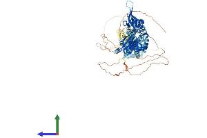 AlphaFold protein structure predicition of Human Recombinant CNNM2 Protein, UniprotID Q9H8M5