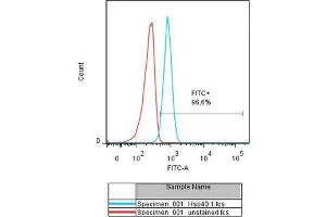 anti-DnaJ (Hsp40) Homolog, Subfamily B, Member 4 (DNAJB4) (AA 151-250) antibody (FITC)