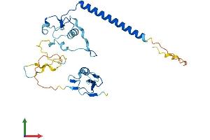Protein Structure (PS) image for Methyl-CpG Binding Domain Protein 3 (MBD3) (AA 1-291) protein (His tag) (ABIN7549255)