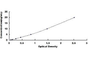 Typical standard curve (CYFRA21.1 ELISA 试剂盒)