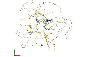AlphaFold protein structure predicition of Human Recombinant SYNPO Protein, UniprotID Q8N3V7
