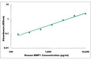 Representative Standard Curve (MMP1 ELISA 试剂盒)
