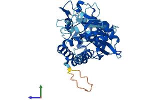 Protein Structure (PS) image for Archaelysin Family Metallopeptidase 2 (AMZ2) (AA 1-359) protein (His tag) (ABIN7557362)