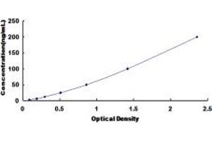 Typical standard curve (Transferrin ELISA 试剂盒)