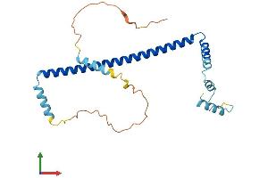 Protein Structure (PS) image for Clathrin, Light Chain A (CLTA) (AA 1-235) protein (His tag) (ABIN7562176)