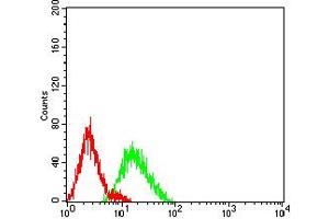 Flow cytometric analysis of HL-60 cells using CD106 mouse mAb (green) and negative control (red). (VCAM1 抗体  (AA 25-183))
