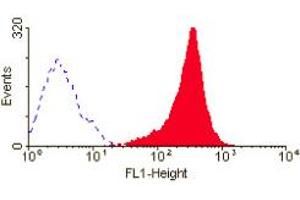 ABIN118867 (Mouse anti human CD95:FITC) staining of HUT78 T cell line. (FAS 抗体  (Extracellular Domain) (FITC))