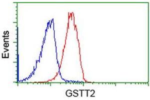 Image no. 2 for anti-Glutathione S-Transferase theta 2 (GSTT2) antibody (ABIN1498554) (GSTT2 抗体)