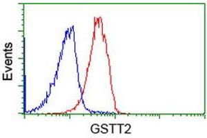 Image no. 2 for anti-Glutathione S-Transferase theta 2 (GSTT2) antibody (ABIN1498554) (GSTT2 抗体)