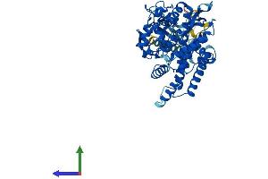 AlphaFold protein structure predicition of Mouse Recombinant Cyp2u1 Protein, UniprotID Q9CX98