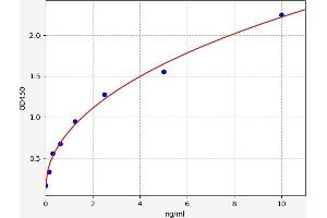 Glypican 3 (GPC3) ELISA Kit