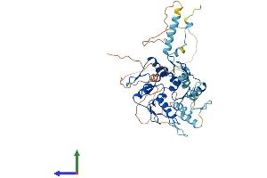 Protein Structure (PS) image for Zinc Finger Protein 627 (ZNF627) (AA 1-461) protein (His tag) (ABIN7545822)