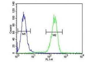 Annexin V antibody flow cytometric analysis of A2058 cells (green) compared to a negative control (blue).