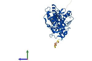 Protein Structure (PS) image for Dom-3 Homolog Z (DOM3Z) (AA 1-397) protein (His tag) (ABIN7562540)