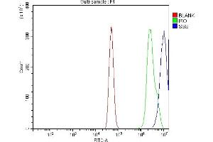 Flow Cytometry analysis of A431 cells using anti-SSB antibody (ABIN7602125). (SSB 抗体  (AA 6-283))