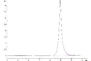 Size-exclusion chromatography-High Pressure Liquid Chromatography (SEC-HPLC) image for Tumor Necrosis Factor Receptor Superfamily, Member 17 (TNFRSF17) (AA 1-49) protein (His-Avi Tag) (ABIN7273944)