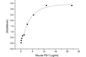 Activity Assay (AcA) image for CD274 (PD-L1) (AA 1-238) (Active) protein (His tag) (ABIN7607706)